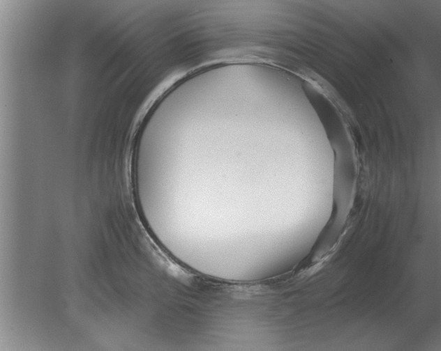 X0000080111196200612301935