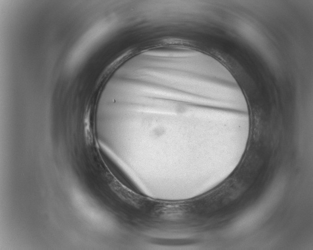 X0000080111198200612301935