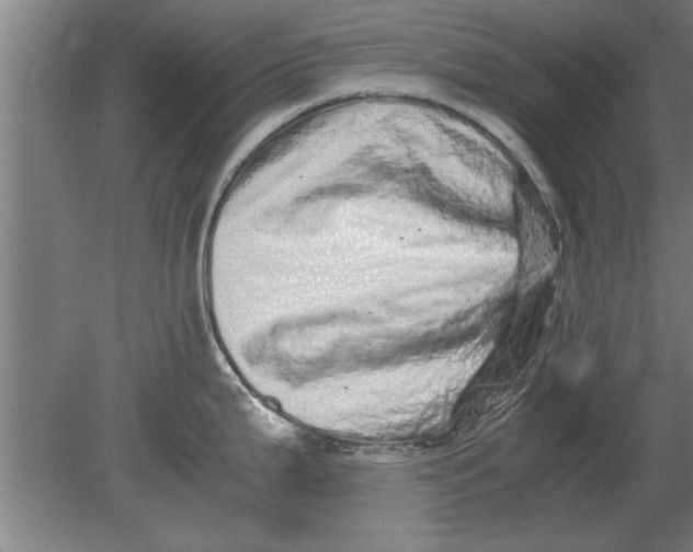 X0000080111199200612301935