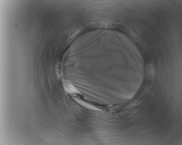 X0000080111202200612301935