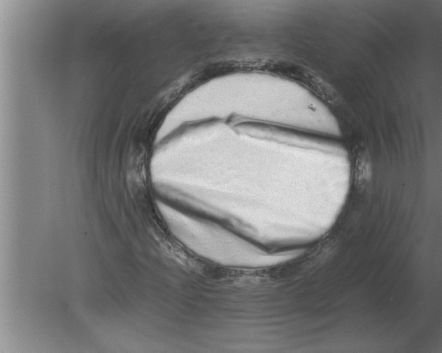 X0000080111204200612301935