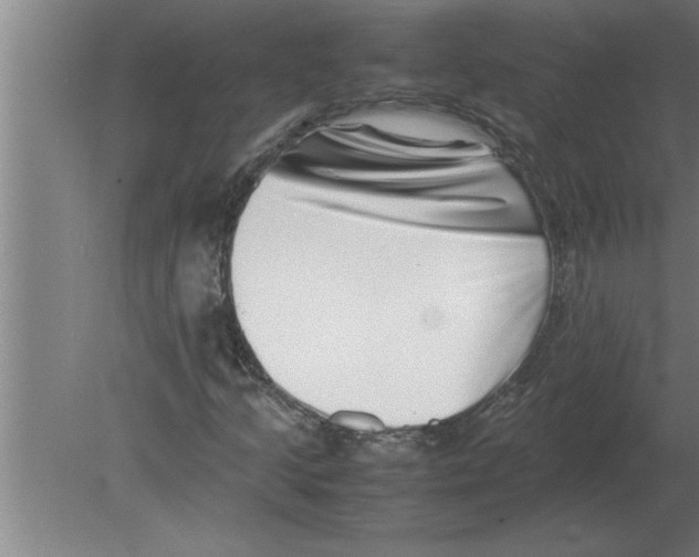 X0000080111205200612301935