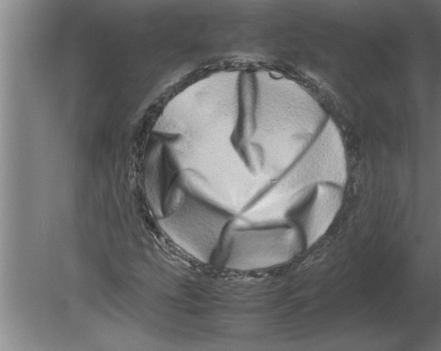 X0000080111207200612301935