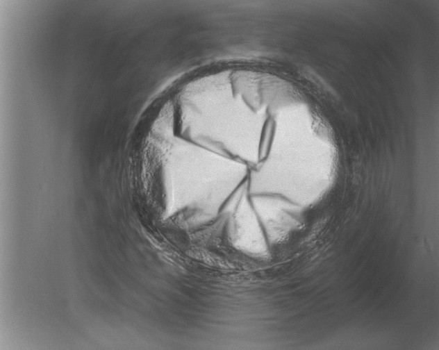 X0000080111208200612301935