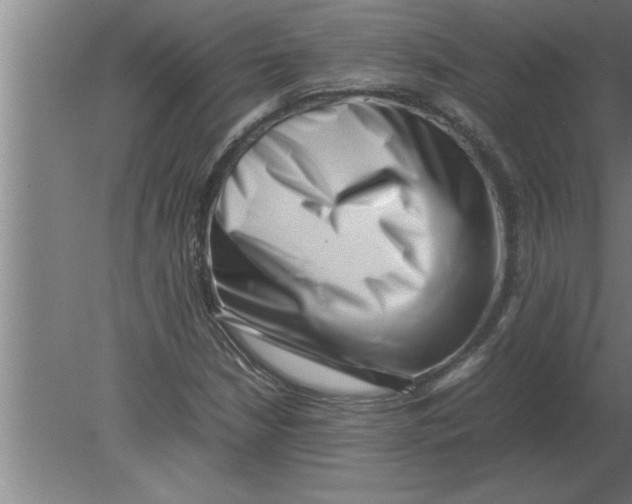 X0000080111210200612301935