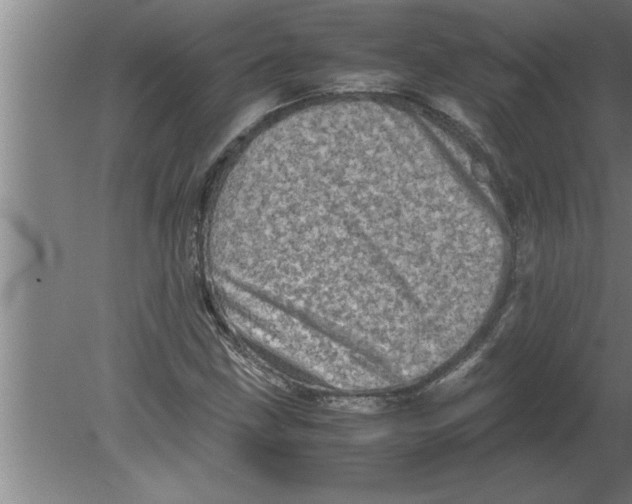 X0000080111211200612301935