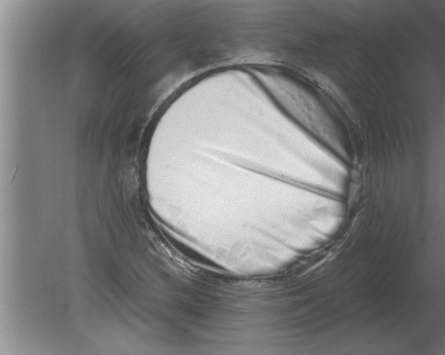 X0000080111212200612301935