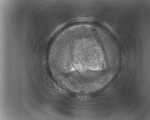 X0000080111213200612301935