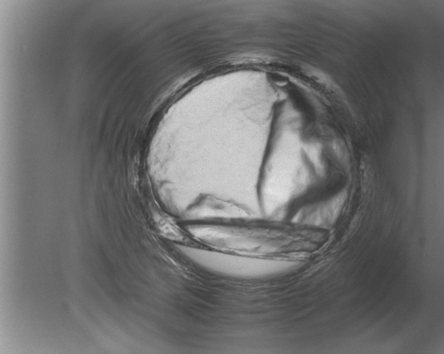 X0000080111217200612301935