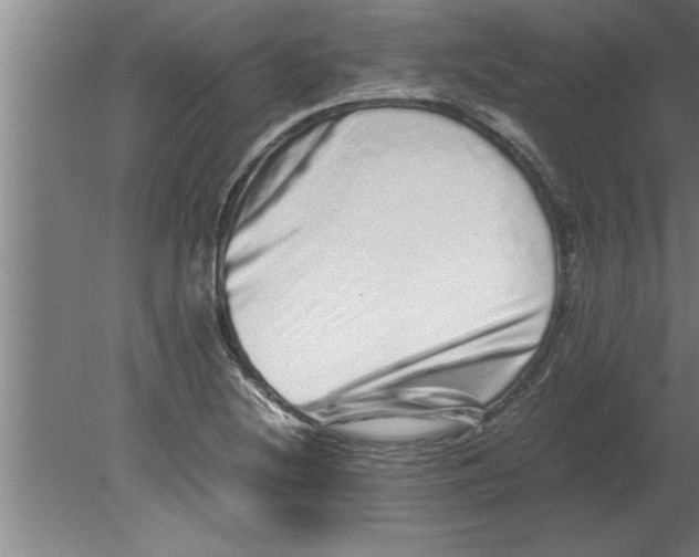 X0000080111220200612301935