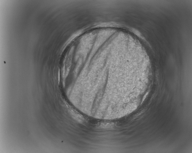 X0000080111221200612301935