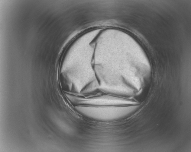 X0000080111224200612301935