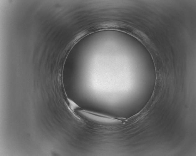 X0000080111225200612301935