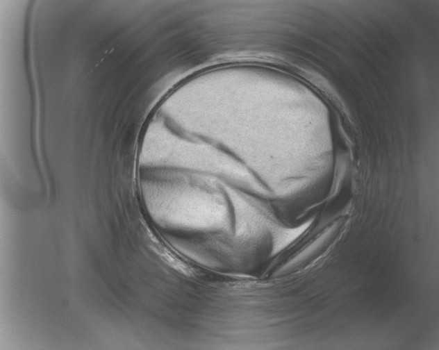 X0000080111228200612301935