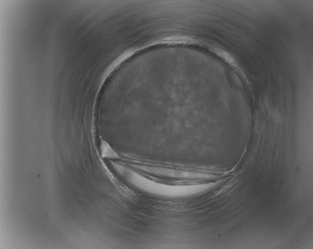 X0000080111229200612301935