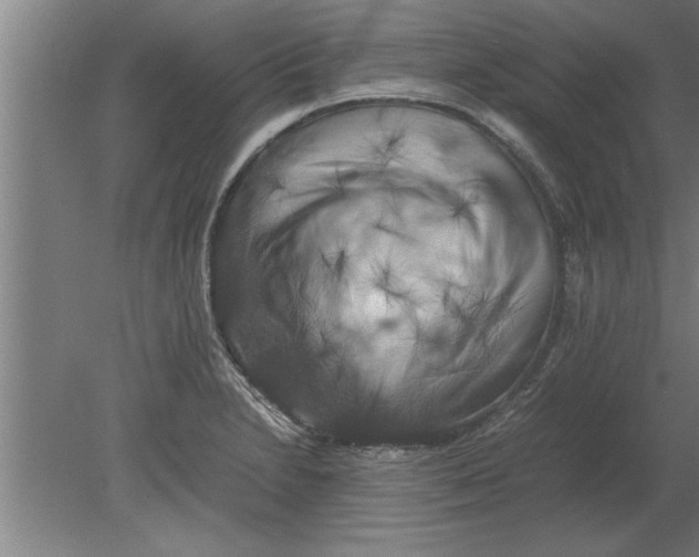 X0000080111230200612301935