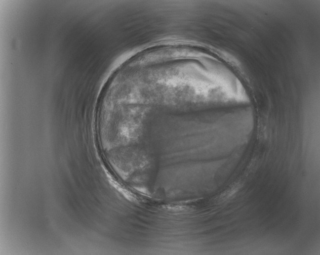 X0000080111231200612301935