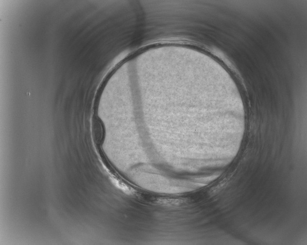 X0000080111237200612301935