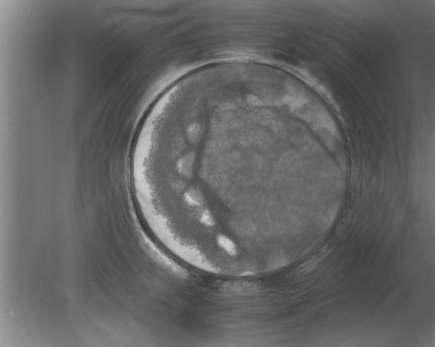 X0000080111239200612301935