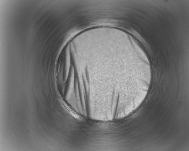 X0000080111240200612301935