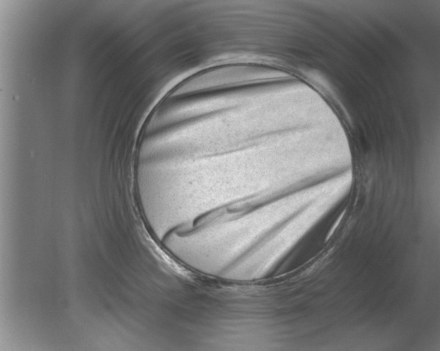 X0000080111244200612301935