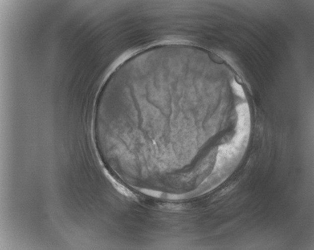 X0000080111245200612301935