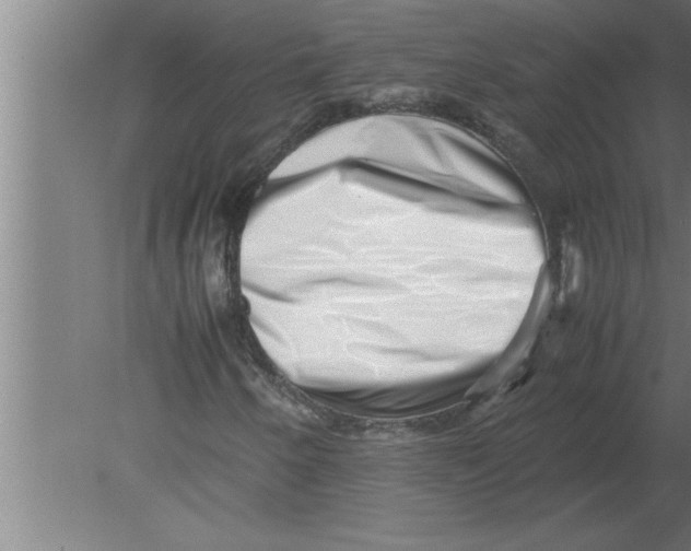 X0000080111250200612301935