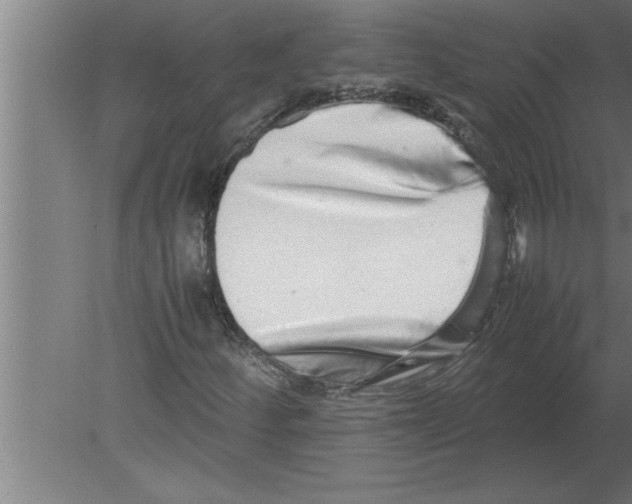 X0000080111252200612301935