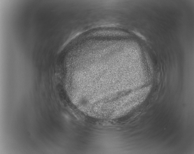 X0000080111255200612301935