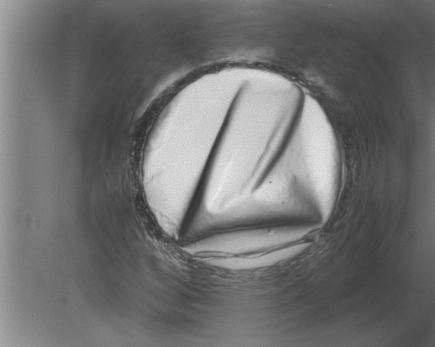 X0000080111256200612301934