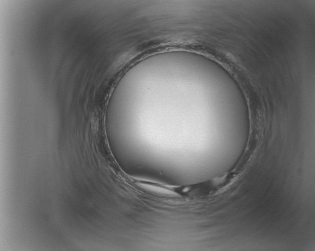 X0000080111257200612301934