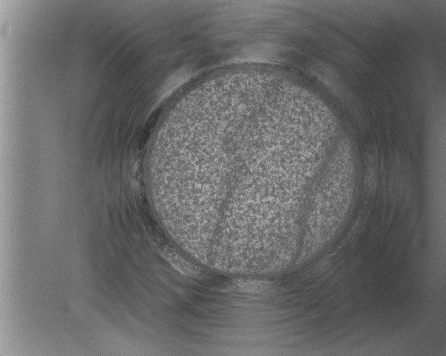 X0000080111258200612301934