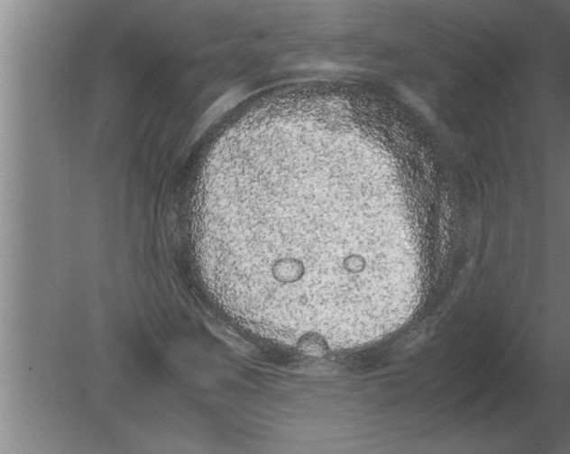 X0000080111259200612301934