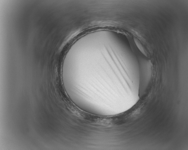 X0000080111261200612301934