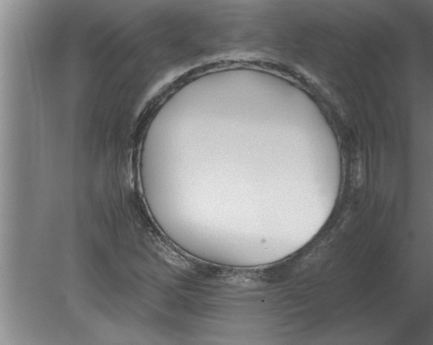 X0000080111262200612301934