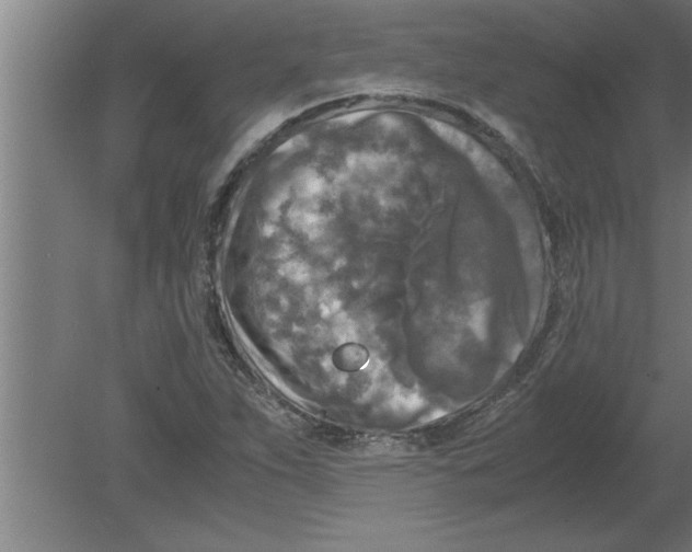 X0000080111263200612301934