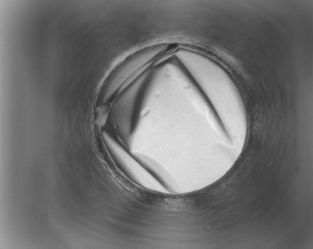 X0000080111264200612301934