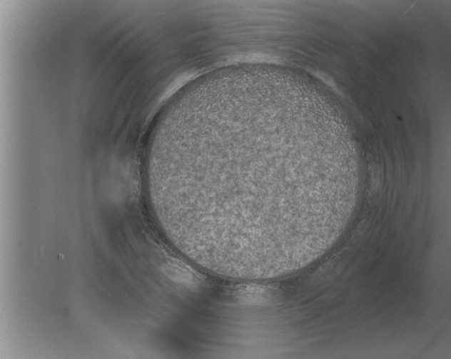 X0000080111266200612301934