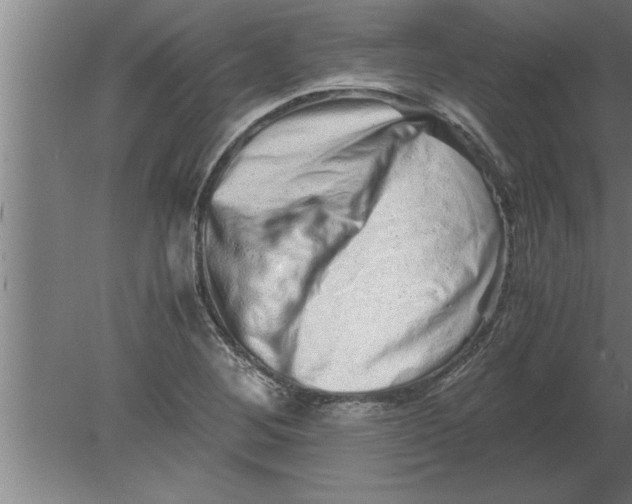 X0000080111268200612301934