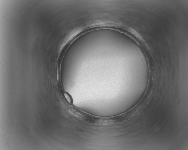 X0000080111269200612301934