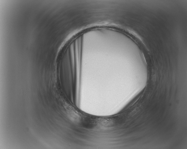 X0000080111270200612301934