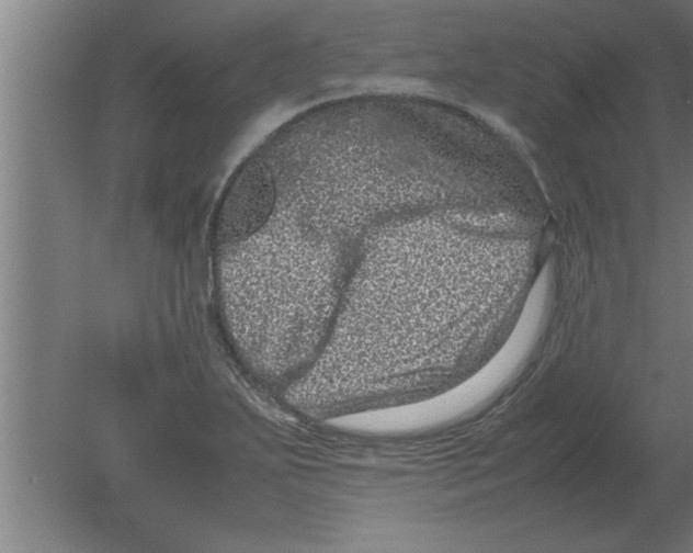 X0000080111271200612301934