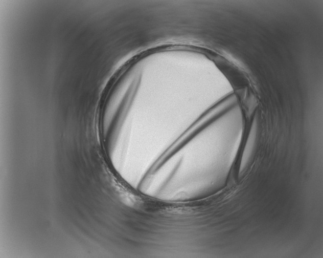 X0000080111272200612301934