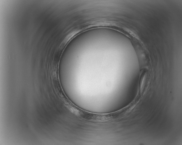 X0000080111273200612301934