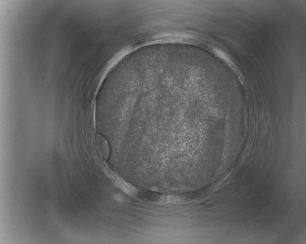 X0000080111275200612301934