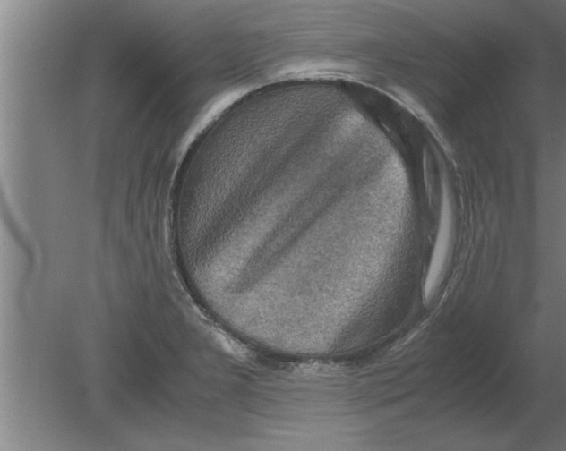 X0000080111277200612301934