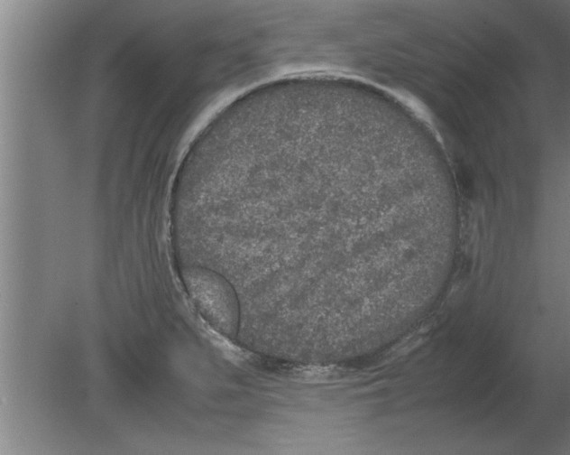 X0000080111279200612301934