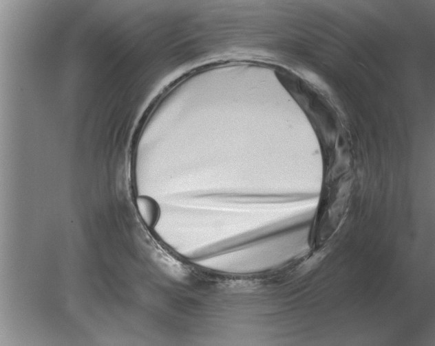 X0000080111280200612301934