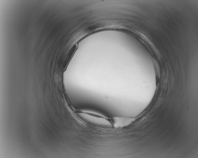 X0000080111281200612301934