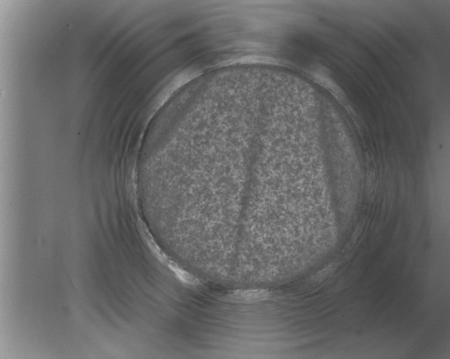 X0000080111282200612301934